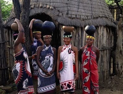 Cultura y Safari: Lesedi y Lion Park en un Solo Día - en Español 9