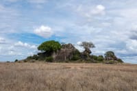 5-Day Tanzania Small Group Safari: Tarangire, Serengeti & Ngorongoro 7