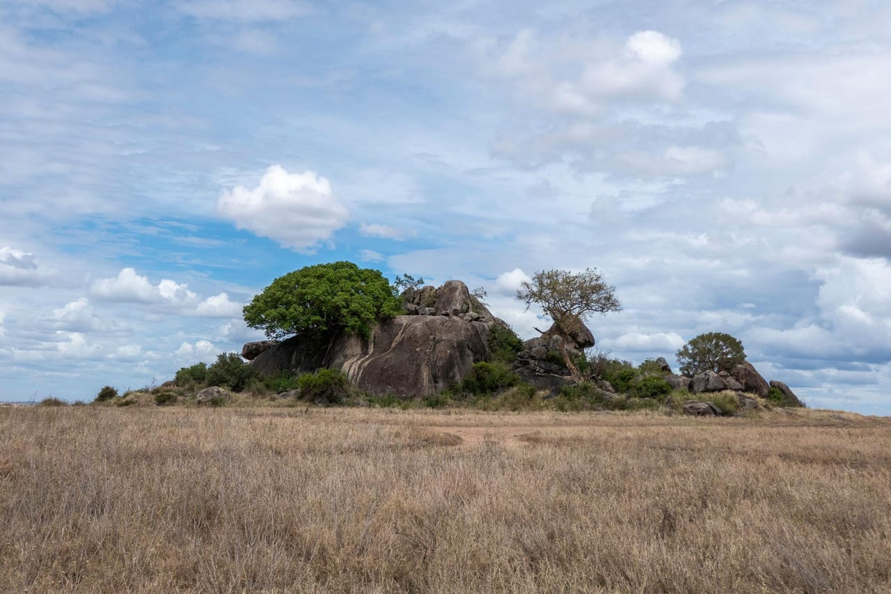 5-Day Tanzania Small Group Safari: Tarangire, Serengeti & Ngorongoro 7