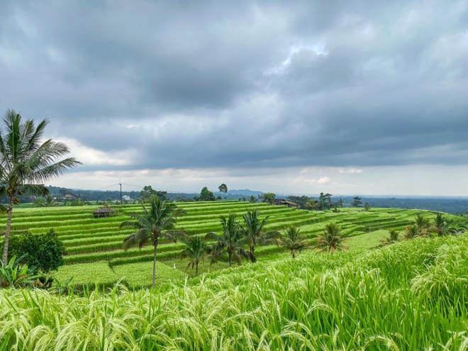 Banyumala Waterfall Trek, Bedugul and Lake Beratan Tour 8