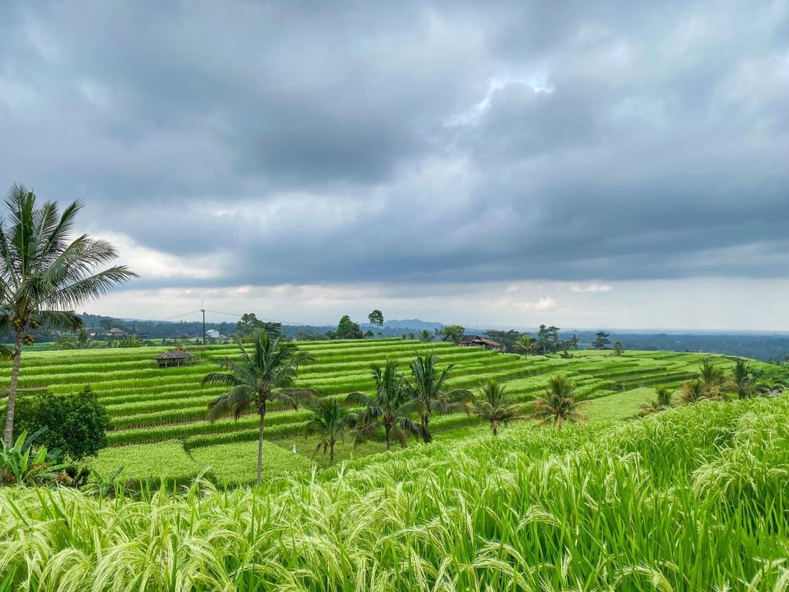 Banyumala Waterfall Trek, Bedugul and Lake Beratan Tour 8