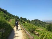 ROUTE ON BIKE AND WINE TASTING 1