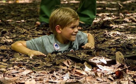 Cu Chi Tunnels and Ho Chi Minh City Tour from Saigon Port