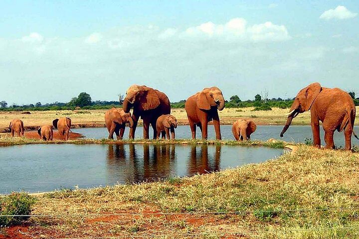 Kenya Mid-Range Safari: Explore Tsavo East, West & Amboseli National Parks