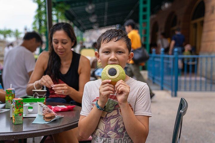 Full Day Private Guided Photographer and Driver in Tokyo Disney