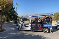 Private Tour in Tuk-Tuk through La Granada de los Reyes Católicos 10