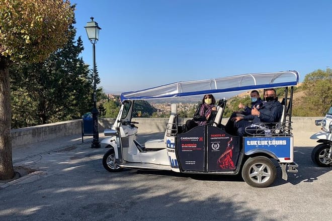 Private Tour in Tuk-Tuk through La Granada de los Reyes Católicos 10