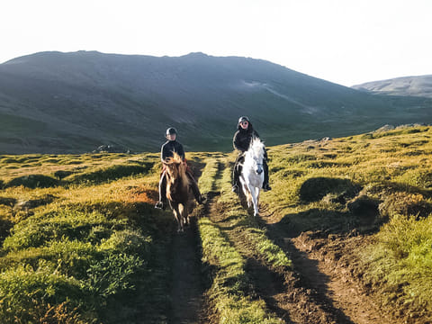 Whales and Horses, photo 3