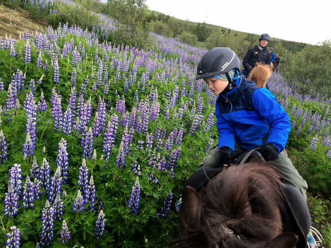  On request: 1 Hours Private Family Tour