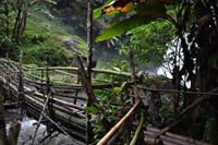 Mount Doi Inthanon Sunrise and Hiking 3