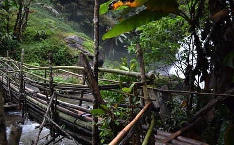 Sunrise Hiking Tour at Mount Doi Inthanon, Ban Luang