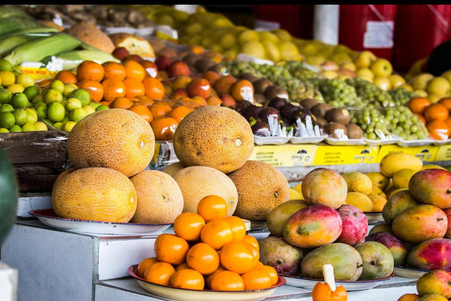 East Coast Tour with Lunch with Daytur