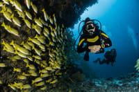 Discover Scuba Diving In Kefalonia 9