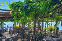 Full-Day Pompeii and Vesuvius Tour with Wine Tasting  8