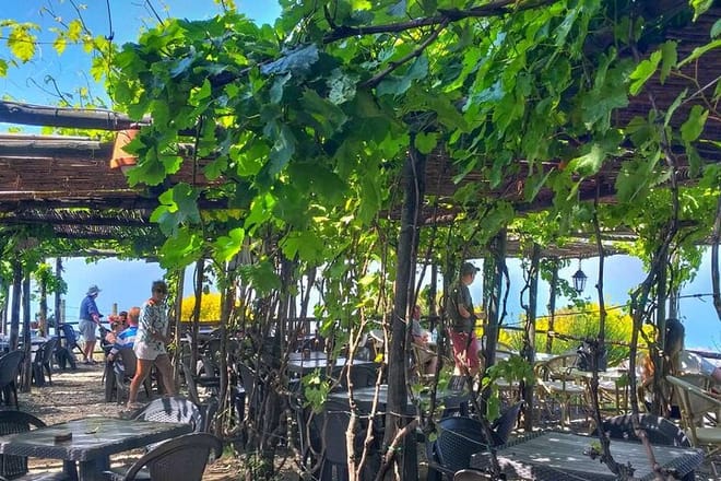 Full-Day Pompeii and Vesuvius Tour with Wine Tasting  8