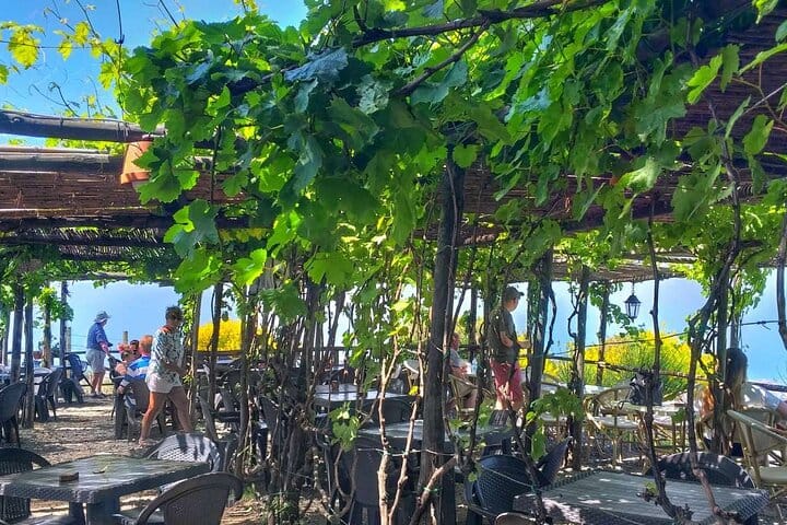 Full-Day Pompeii and Vesuvius Tour with Wine Tasting  8