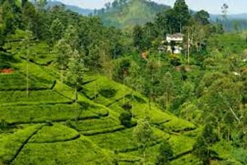 05 Day Tour From Kandy Sri Lanka ( Without Accommodation)