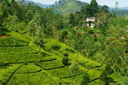 05 Day Tour From Kandy Sri Lanka ( Without Accommodation)