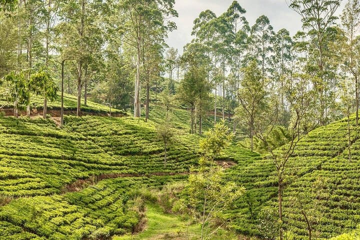 Every Corner a Story | 7 Days