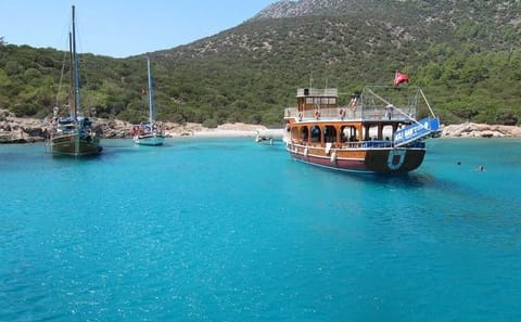 National Park Boat Trip with Lunch from Kuşadası