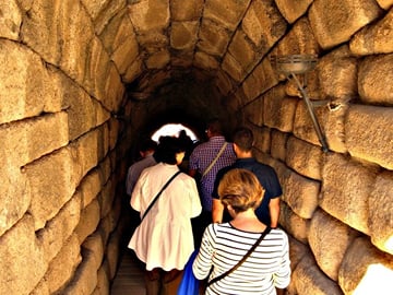 From Seville: Merida Private Full Day Tour