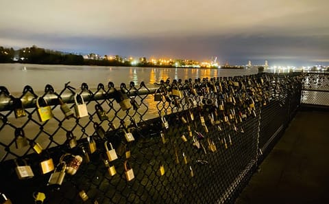 Private Half-Day City Tour for Couples in Vancouver