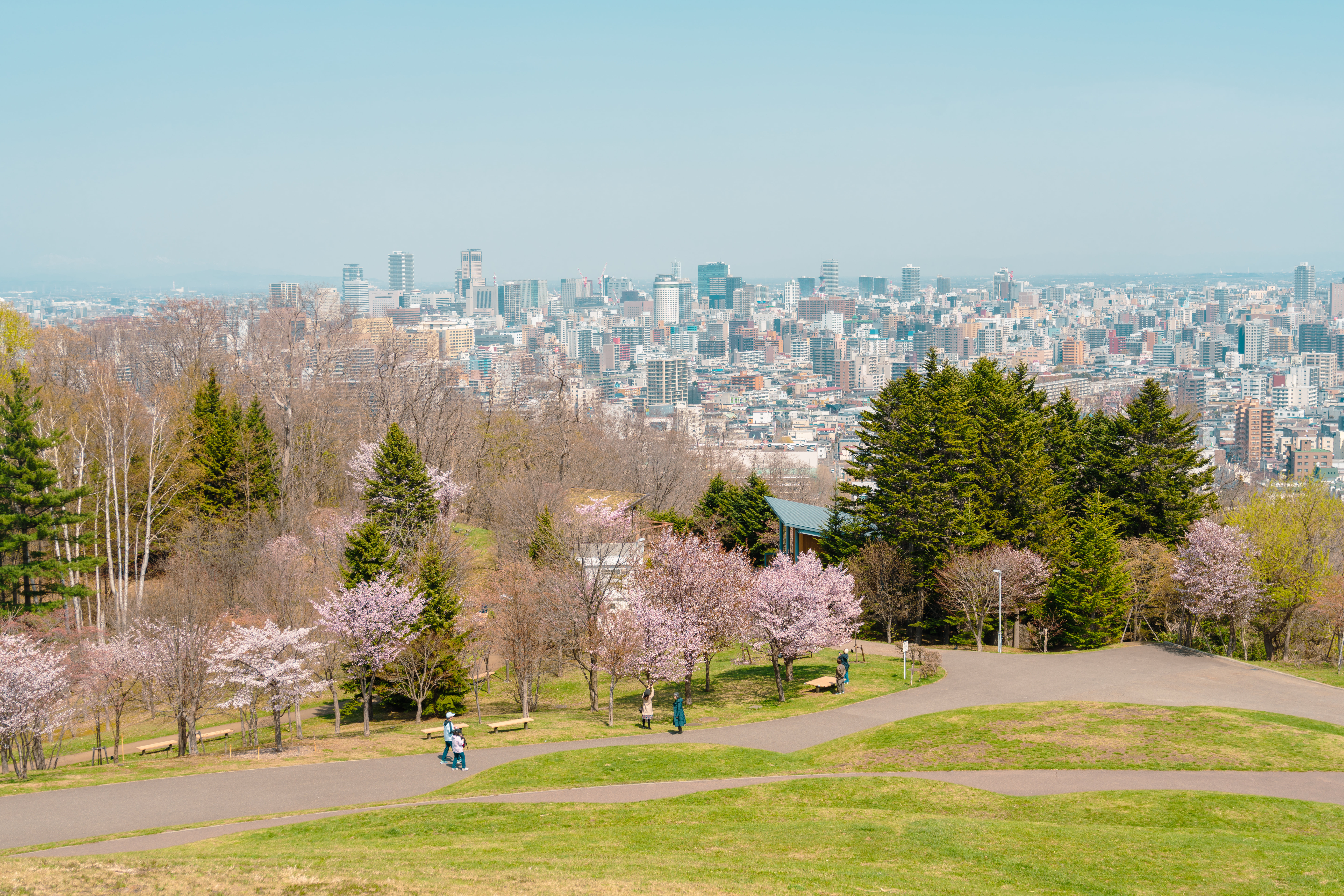 Sapporo Custom Day Tour