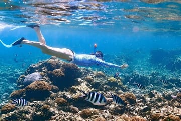 Snorkeling Adventure in Ras Mohammed National Park, Sharm El Sheikh