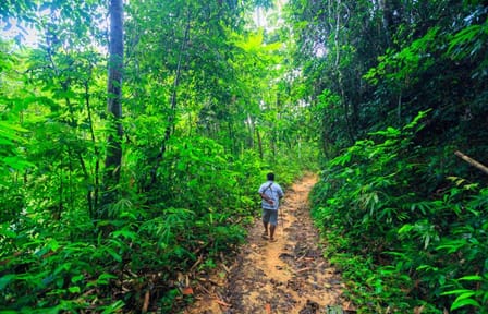 Khao Sok Discovery, Small Group Tour (On Request)