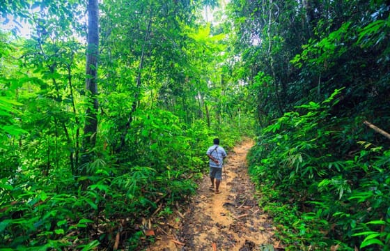 Khao Sok Discovery, Private Tour