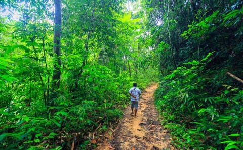 Private Khao Sok National Park Tour from Phuket