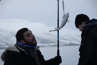 Fishing trip - Luxury Catamaran Arctic Princess 10