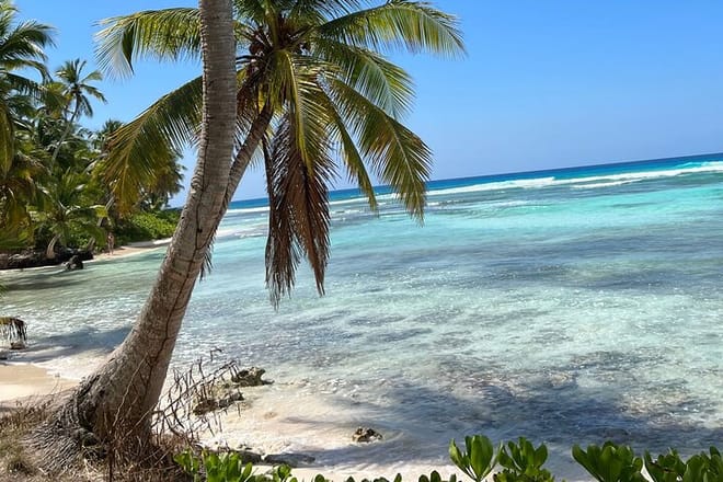 Saona Island Full Day Tour with Buffet Lunch, Paella, & Open Bar 7