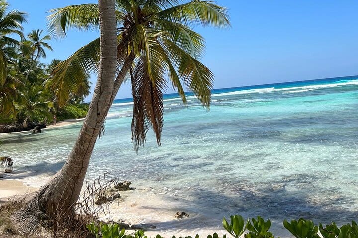 Saona Island Full Day Tour with Buffet Lunch, Paella, & Open Bar 7