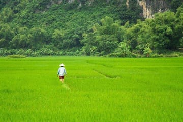 Full-Day Cultural Tour of Mai Chau from Hanoi