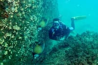 Diving (Baptism) 09:00 9