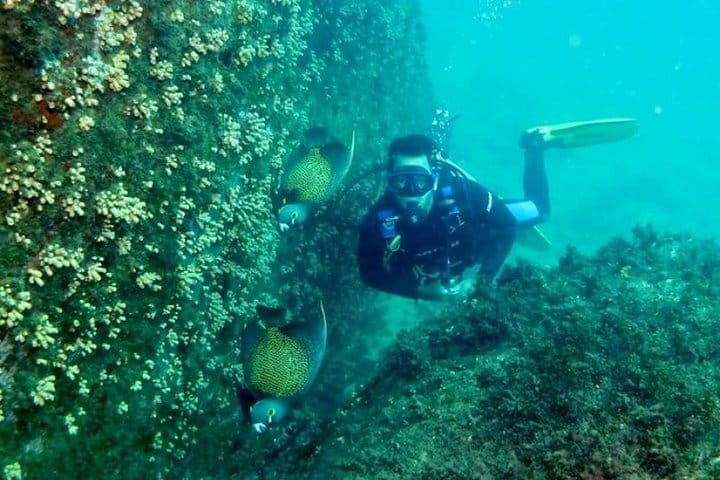Diving (Baptism) 09:00 9