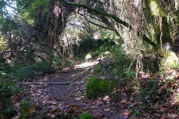 Private Half-Day Hiking Tour of Sarakina Gorge in Chania