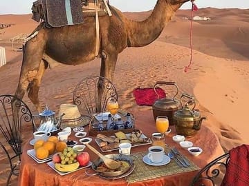 best morocco