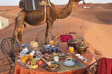 Big Morocco Tour 15 Days From Casablanca