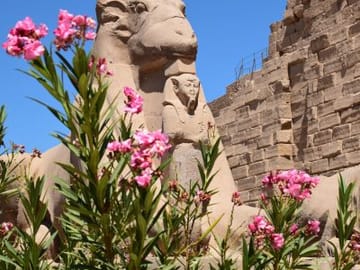 Luxor Overday – Special Program