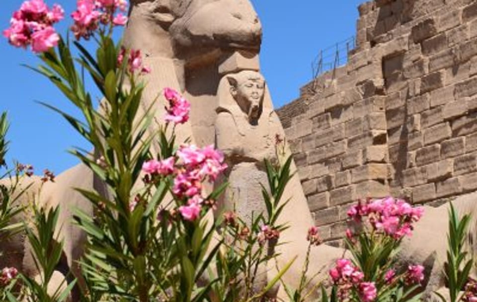 Luxor Day Tour: Valley of the Kings and Karnak Temple