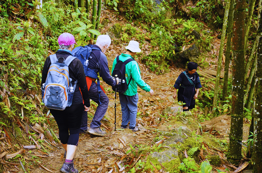 Sapa Day Tour - Trekking