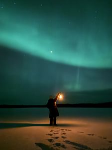 Northern Lights Adventure in the Wild with Campfire Treats