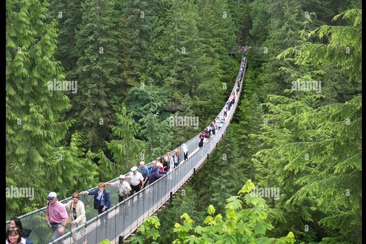 Full Day Private City Tour of Vancouver