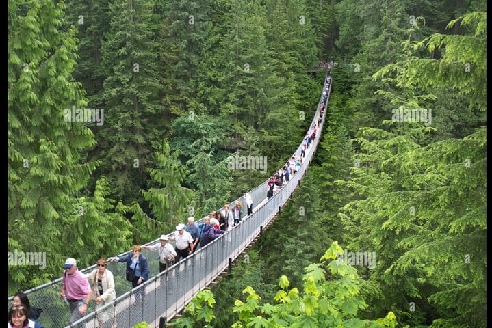 Capilano Suspension Bridge