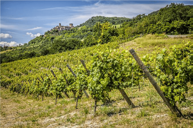 THE ITALIAN FOOD VALLEY  photo 5
