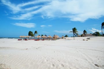 3-Day Cultural and Nature Tour of Marajó Island, Brazil