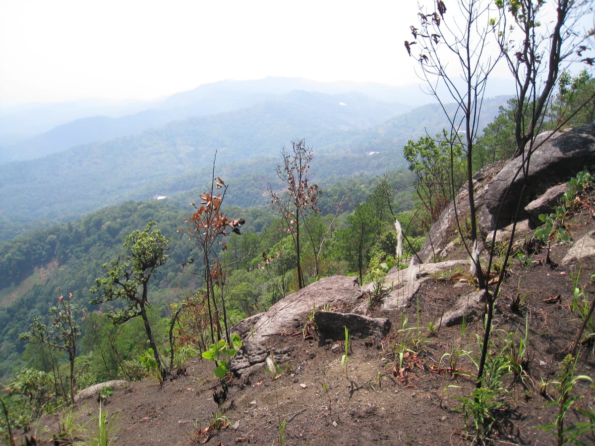 “BIKE 6x” Full Day “The Eliminator 2” Advanced Cross Country DH Ride, Chiang mai