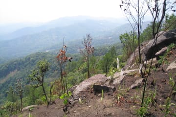 Advanced Mountain Biking Tour in Suthep, Chiang Mai